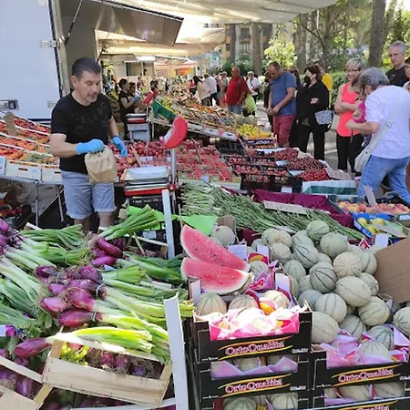 Mipro Mobilhome 펜션