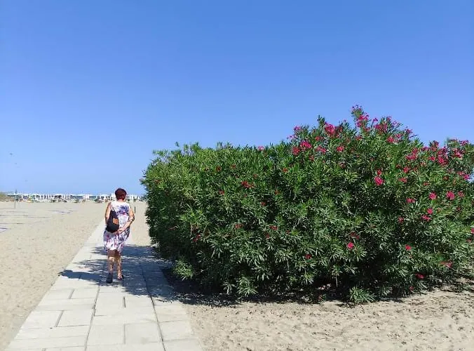 Mipro Mobilhome Lido di Spina