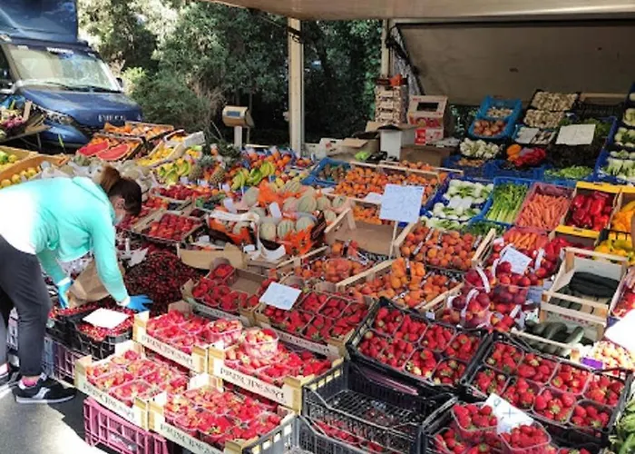 Mipro Mobilhome Σπίτι διακοπών Lido di Spina